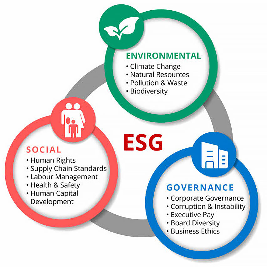 What Is ESG Investing & Types Of ESG Investing - DBS Live More