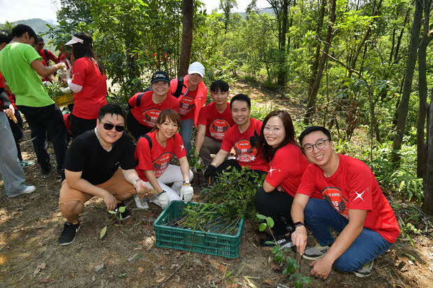 Trees for tomorrow: DBS Hong Kong SME Banking plants and preserves ...